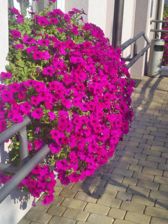 Pokoje Hotelowe Wiktoria Goczałkowice-Zdrój Exterior foto